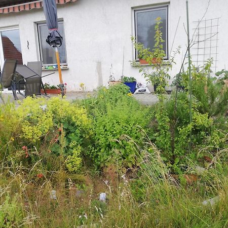 Ferienwohnung - a44958 Wittenburg Exterior foto